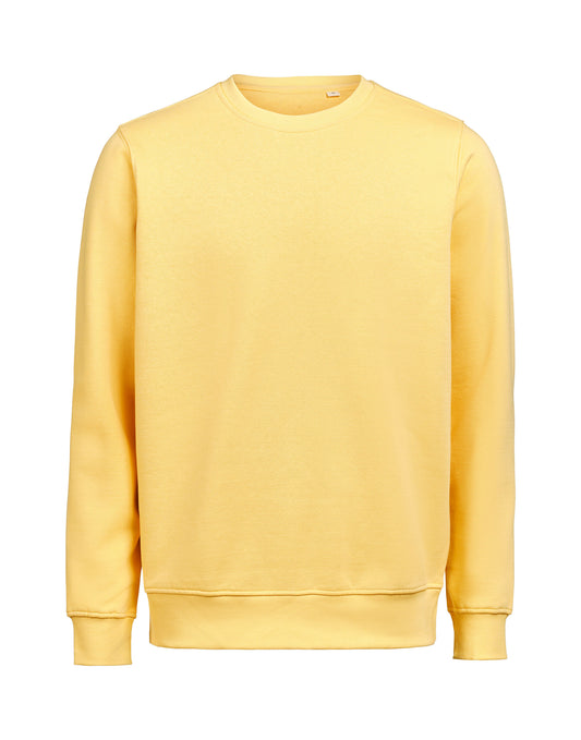 Crewneck Regular Fit - Ray
