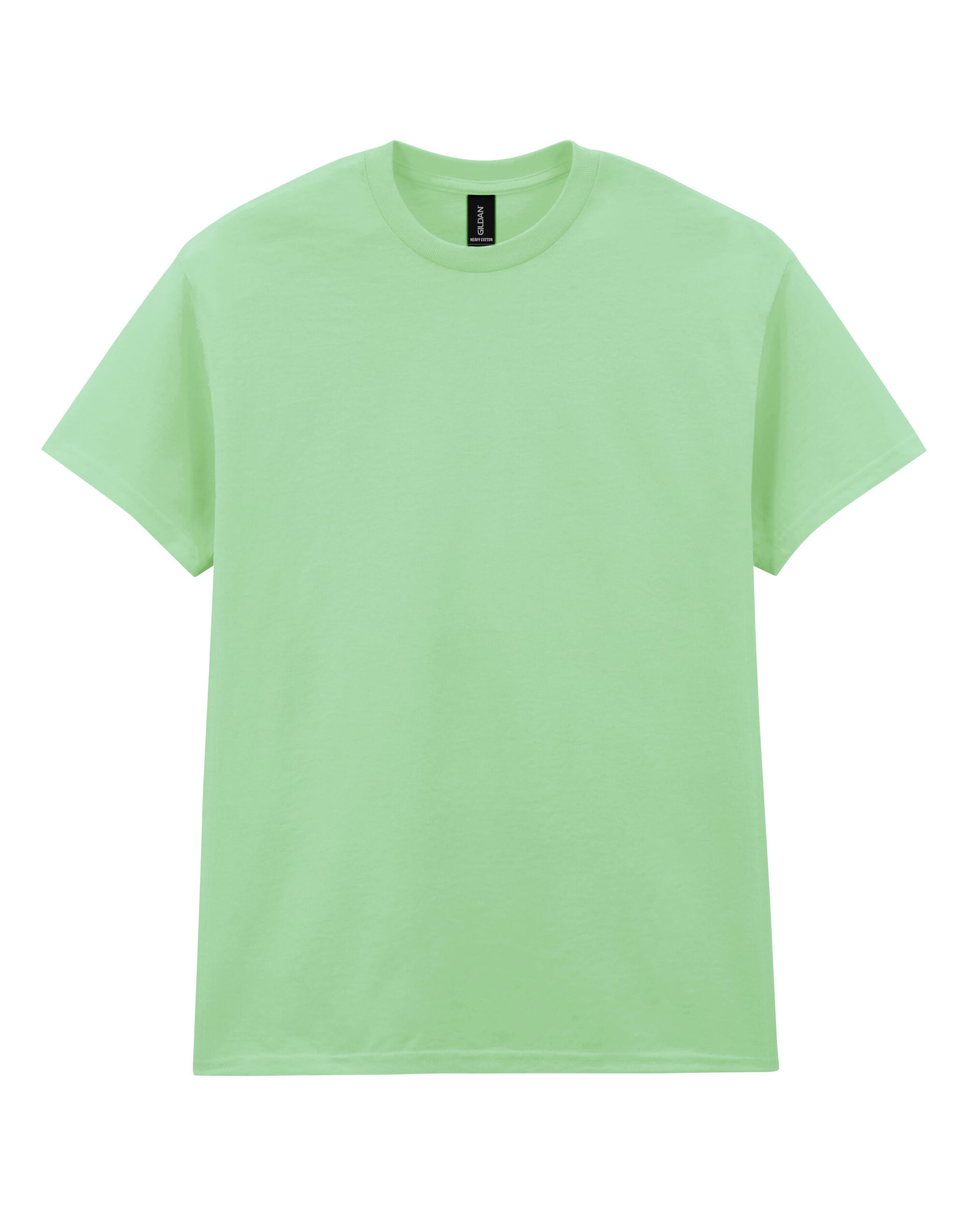 Heavy Cotton™ Adult T-Shirt - Mint Green