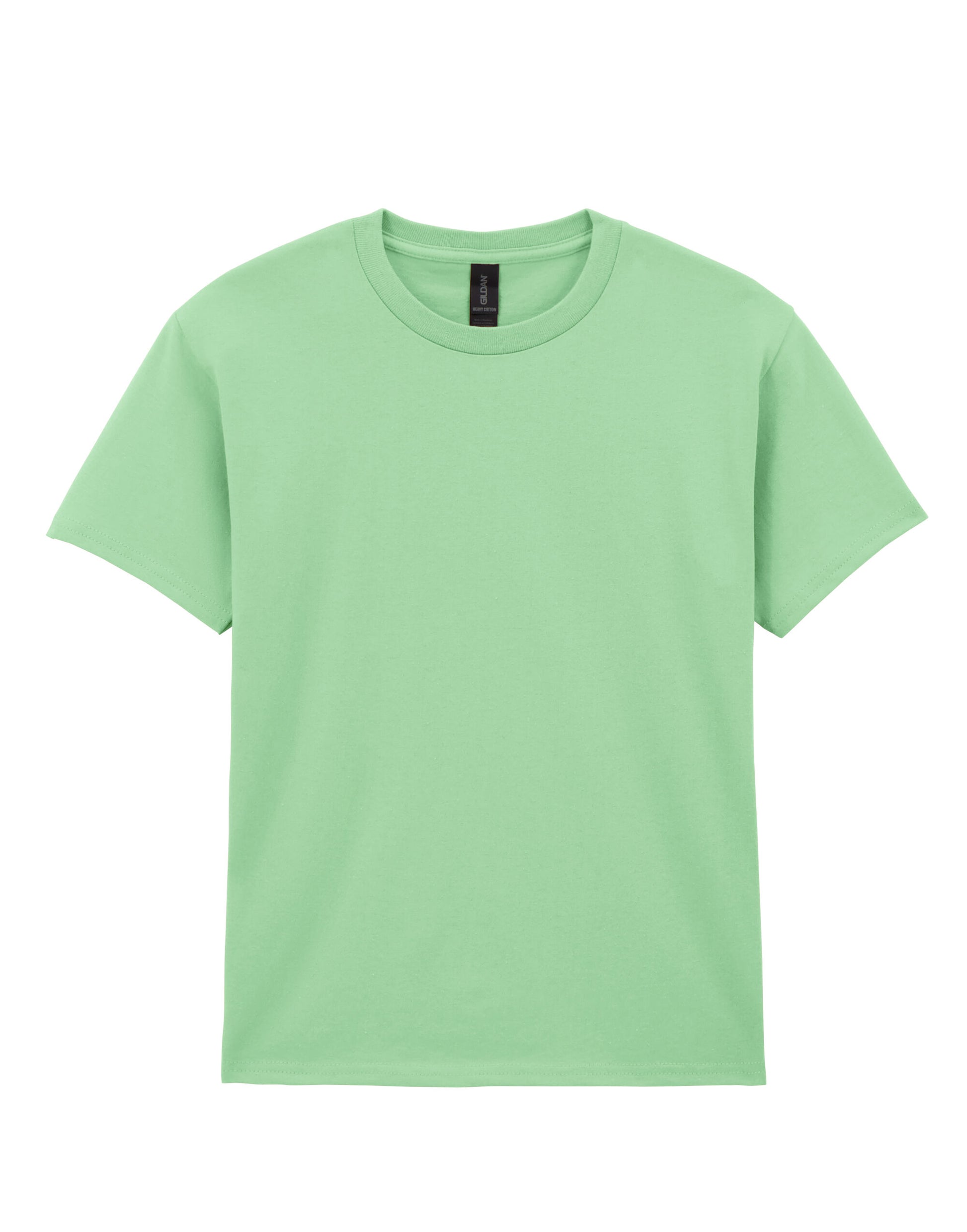 Heavy Cotton™ Youth T-Shirt - Mint Green