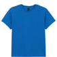 Heavy Cotton™ Youth T-Shirt - Royal