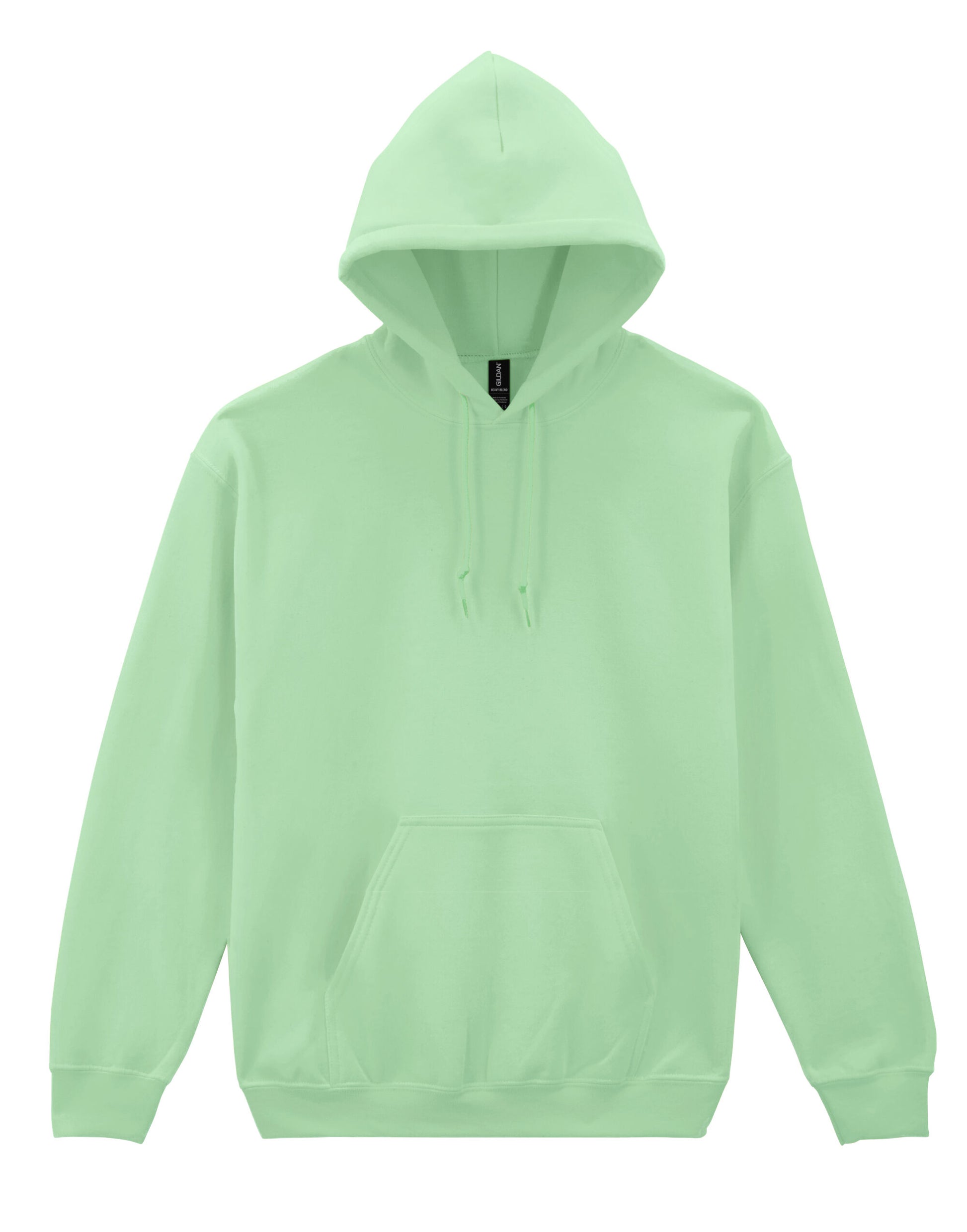 Heavy Blend™ Adult Hooded Sweatshirt - Mint Green
