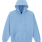 Heavy Blend™ Adult Hooded Sweatshirt - Light Blue