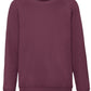 Kid's Classic Raglan Sweat - Burgundy