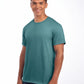 Eco Premium Organic T - Sage