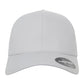 Delta Adjustable Cap - Silver