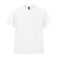 Softstyle CVC Adult T-Shirt - White
