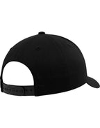 Curved Classic Snapback Cap