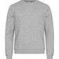 Miami Roundneck _x000D_ - Ash