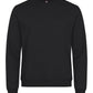 Miami Roundneck _x000D_ - Black