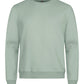 Miami Roundneck _x000D_ - Sage Green