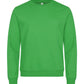 Miami Roundneck _x000D_ - Apple Green