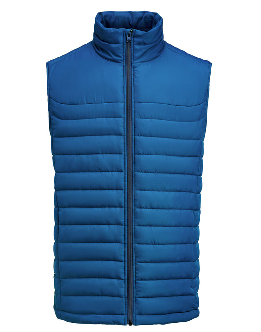 Arches Vest - Blue