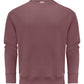Hopedale Unisex Crewneck Sweatshirt - Dusty Red