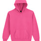 Softstyle Midweight Fleece Youth Hoodie - Pink Lemonade