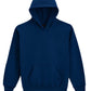 Softstyle Midweight Fleece Youth Hoodie - Navy Blue