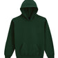 Softstyle Midweight Fleece Youth Hoodie - Forest Green