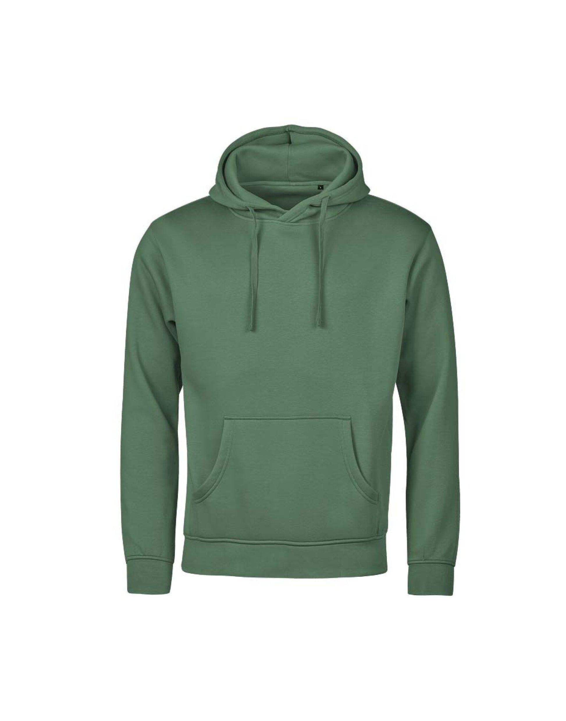 Unlabeled Hooded Sweatshirt - Cactus