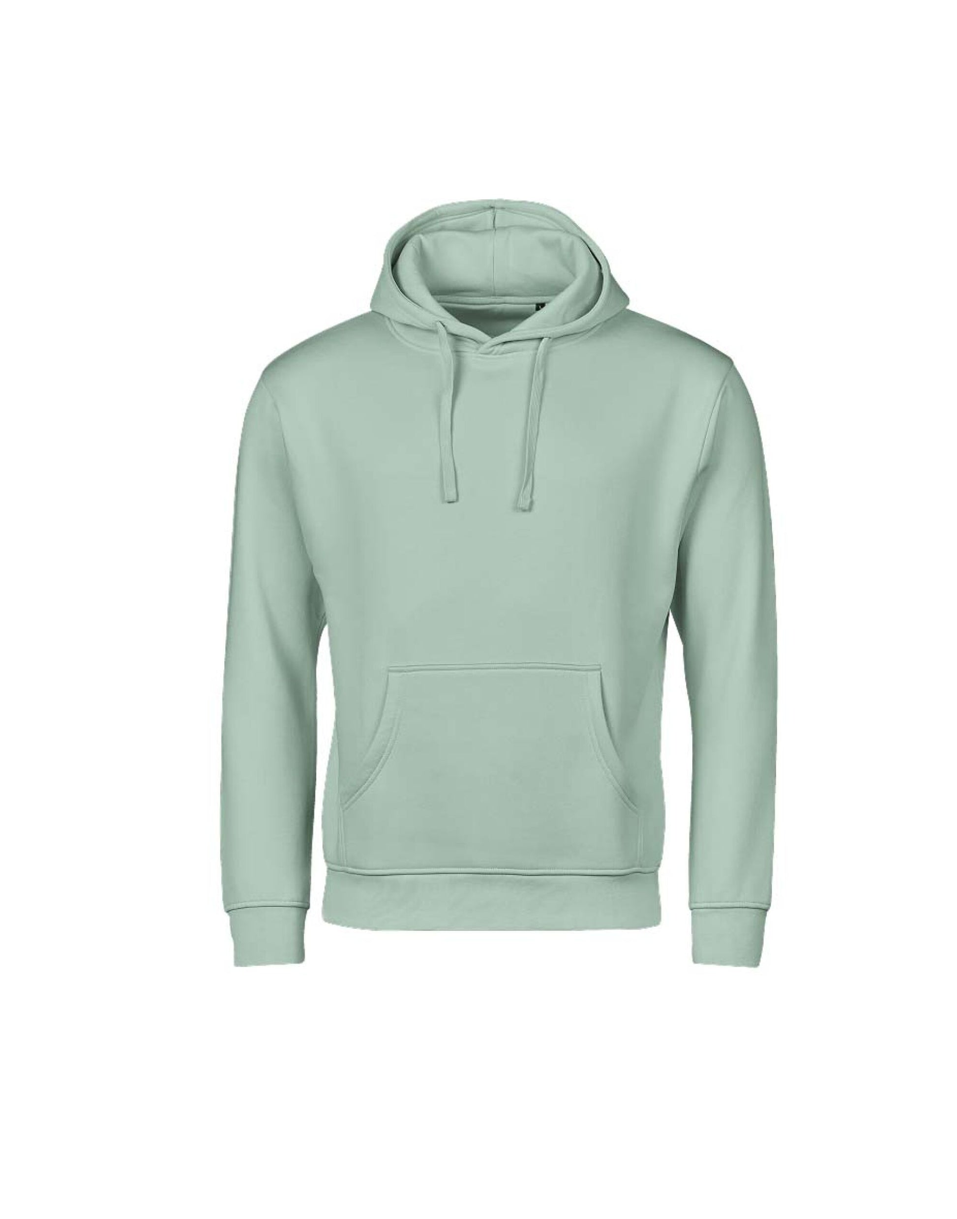 Unlabeled Hooded Sweatshirt - Mint