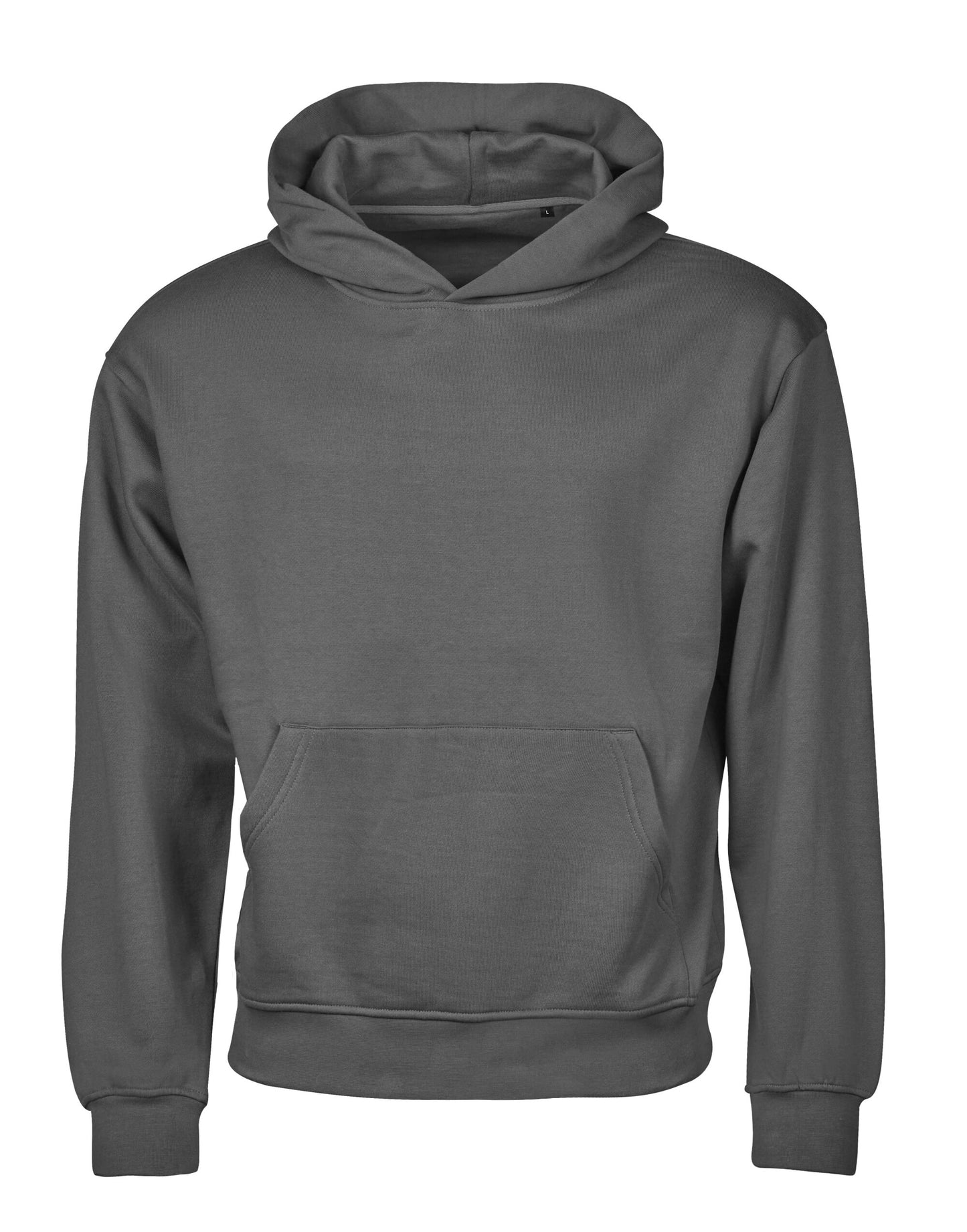 Unlabeled Heavy Loose Fit Hooded Sweatshirt - Powder Grey