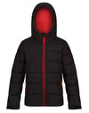 Scholar Thermal Jacket - Black/Classic Red