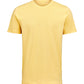T-Shirt Regular Fit - Ray