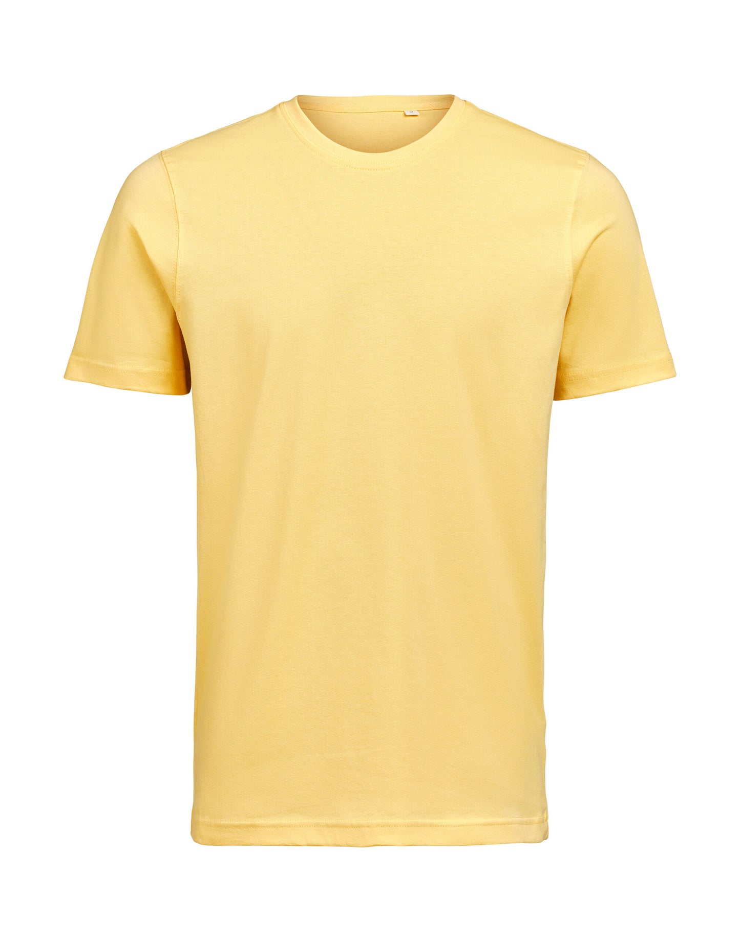T-Shirt Regular Fit - Ray