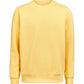 Crewneck Regular Fit - Ray