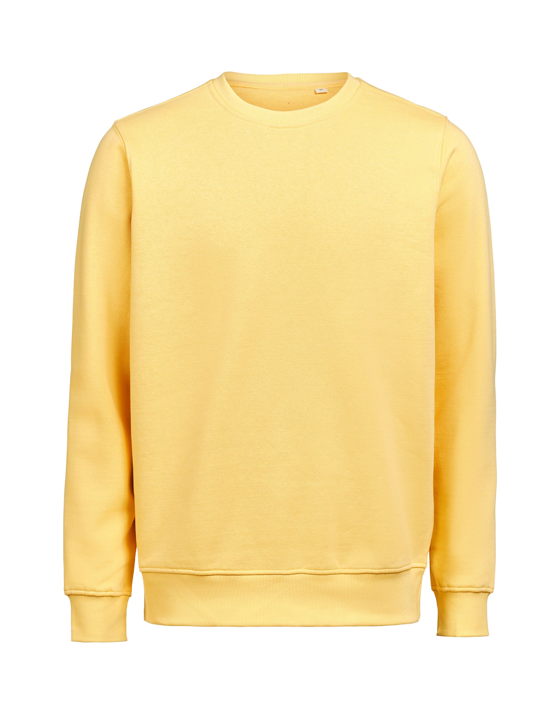 Crewneck Regular Fit - Ray