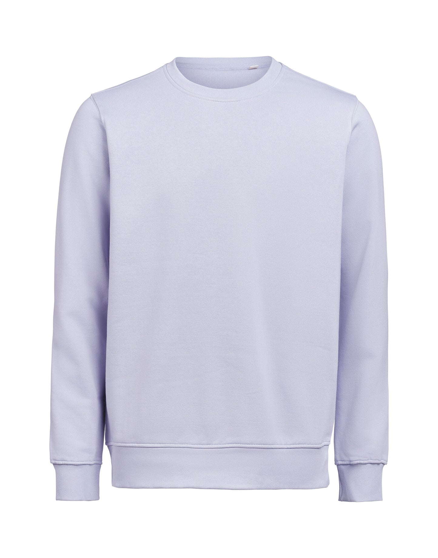 Crewneck Regular Fit - Aster