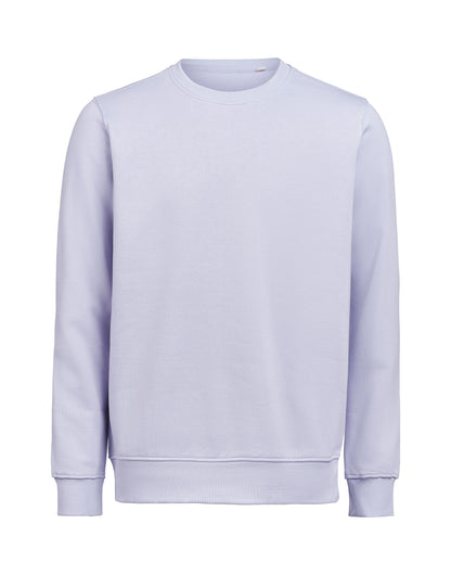 Crewneck Regular Fit - Aster