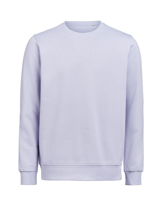 Crewneck Regular Fit - Aster