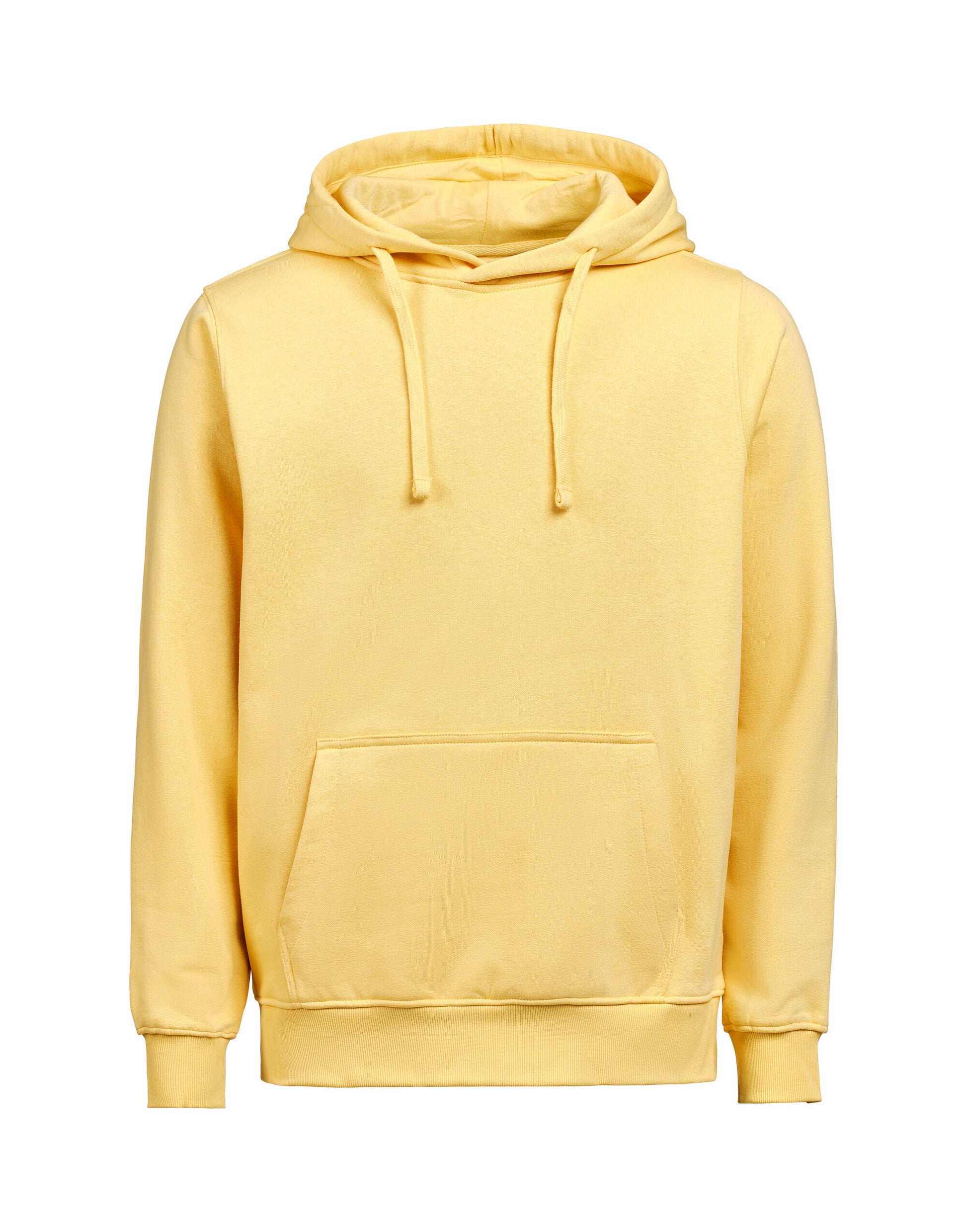 Hoodie Regular Fit - Ray