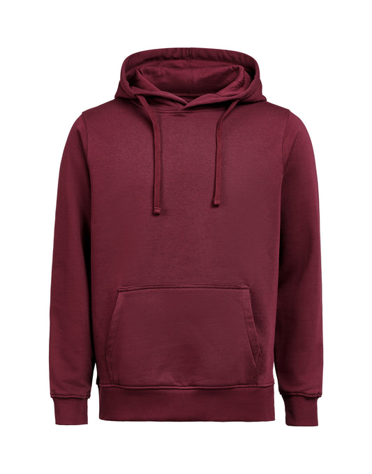 Hoodie Regular Fit - Prune