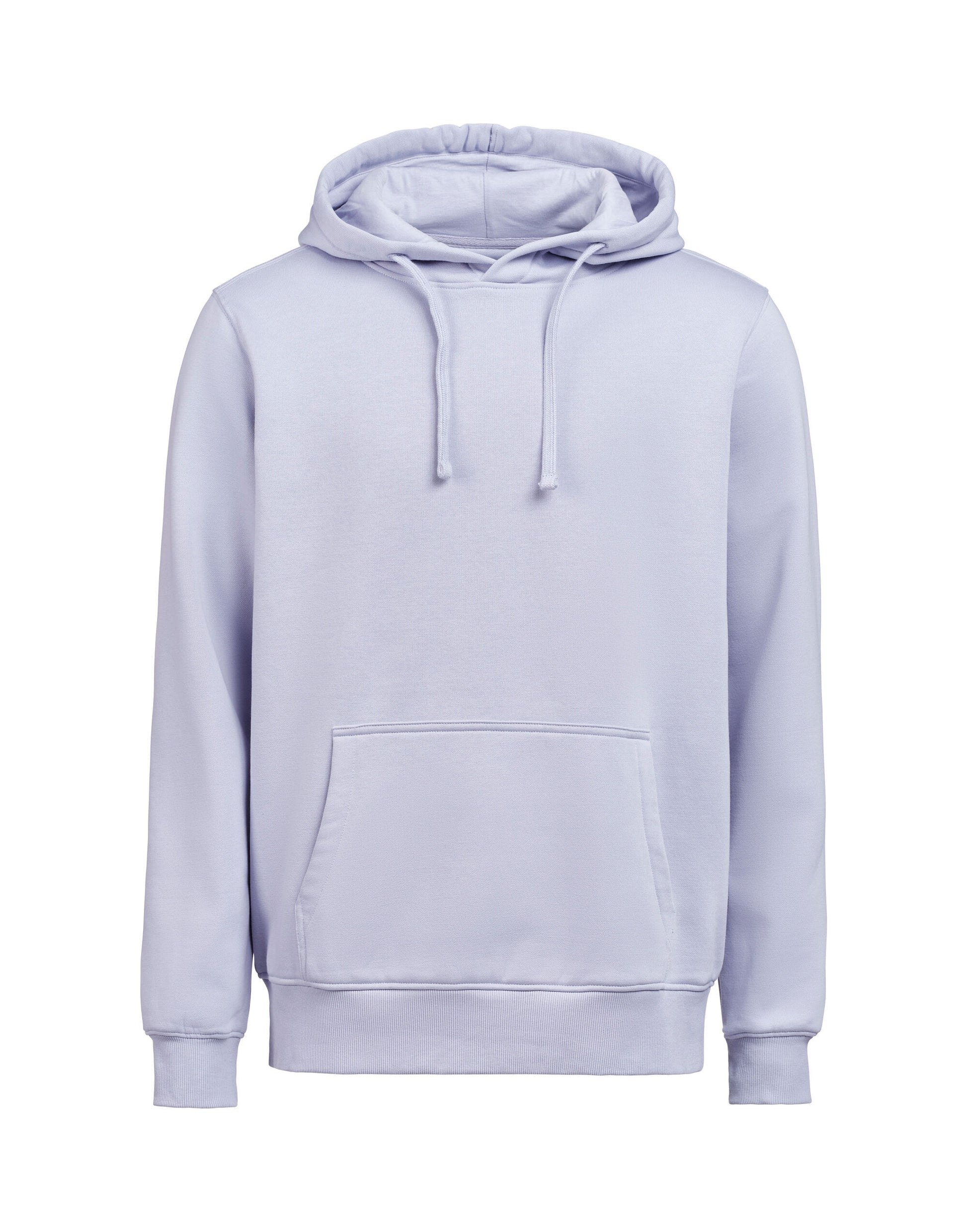 Hoodie Regular Fit - Aster