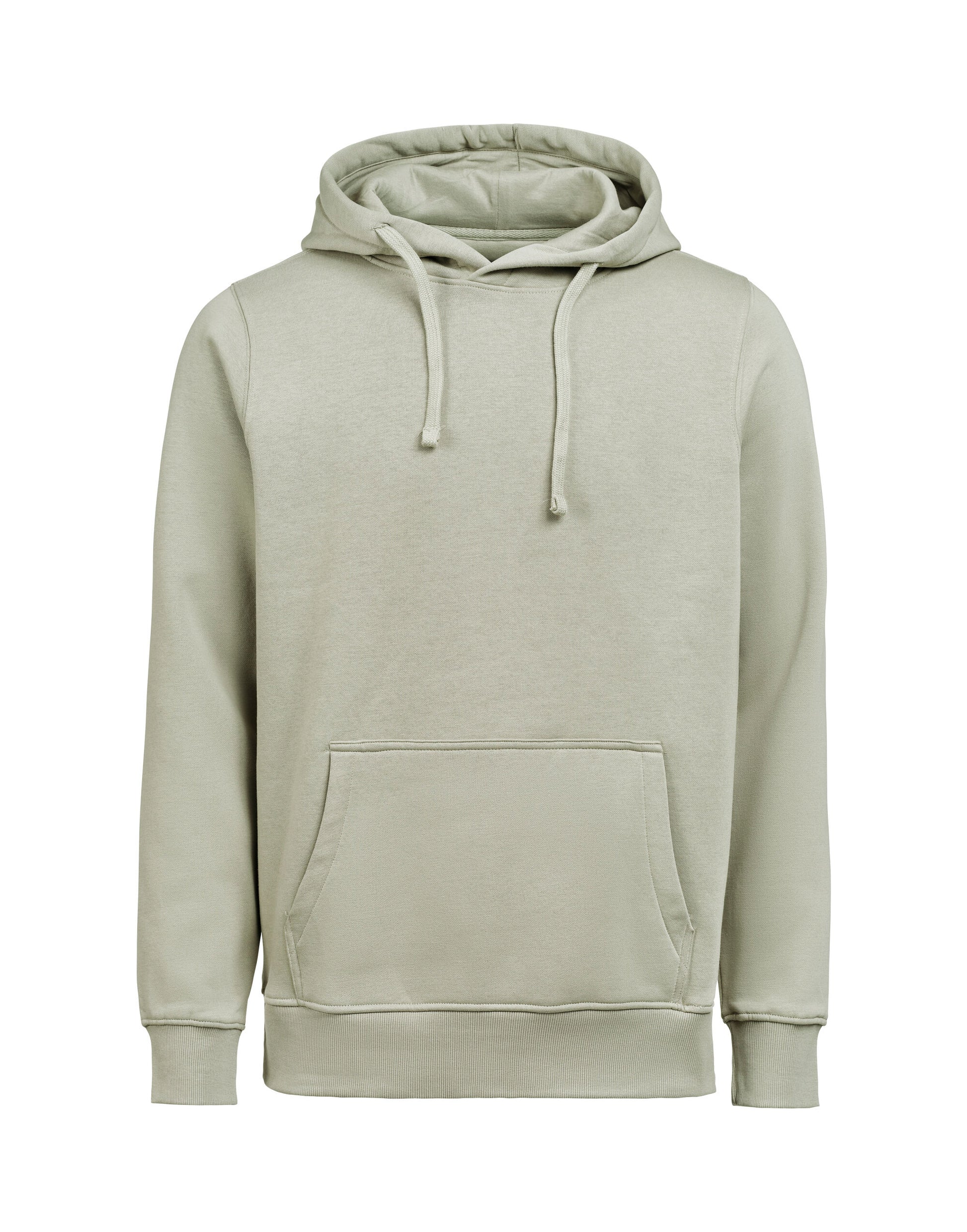 Hoodie Regular Fit - Sage