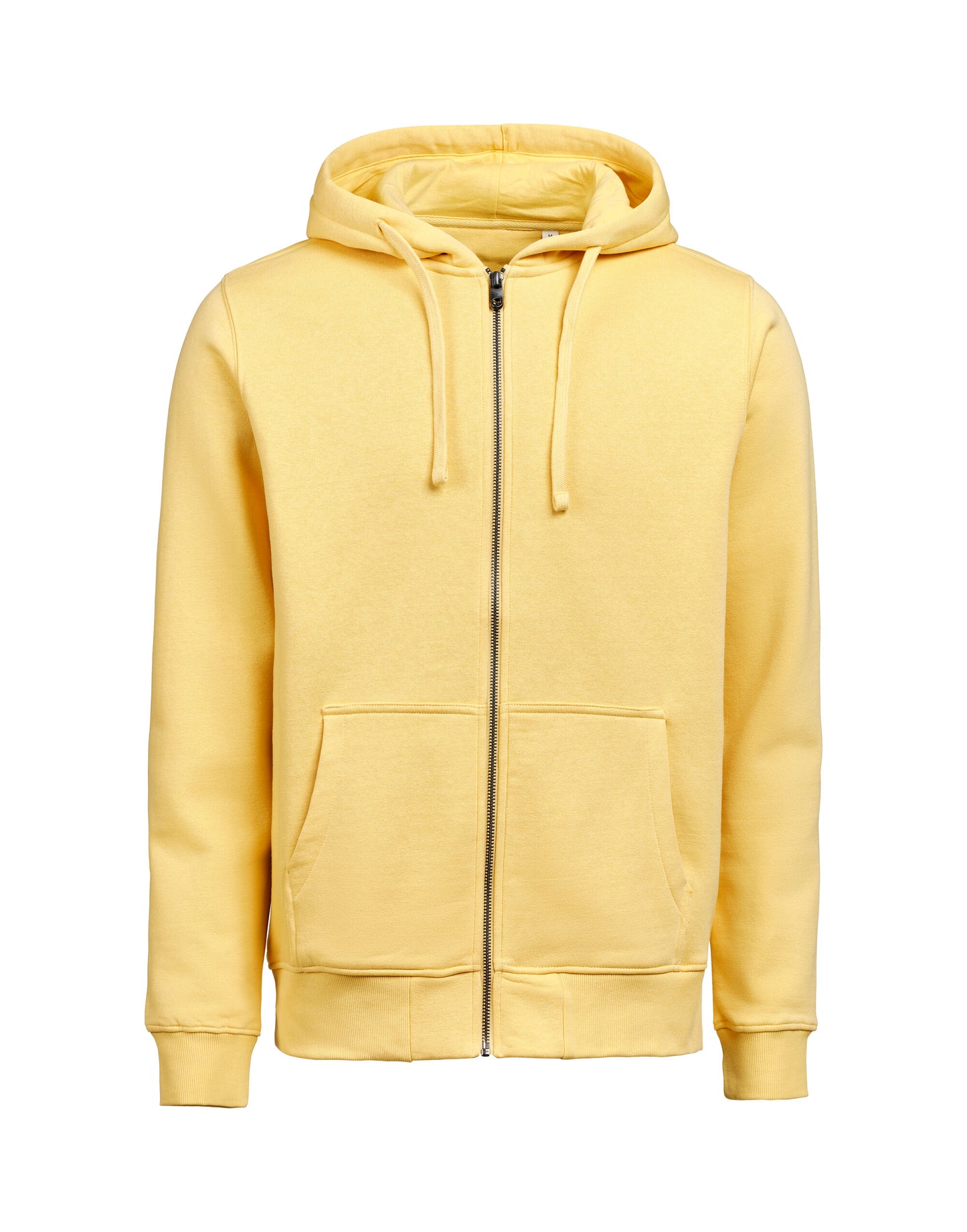 Full Zip Hoodie Regular Fit - Ray