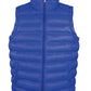 Men's Ice Bird Padded Gilet - Royal Blue